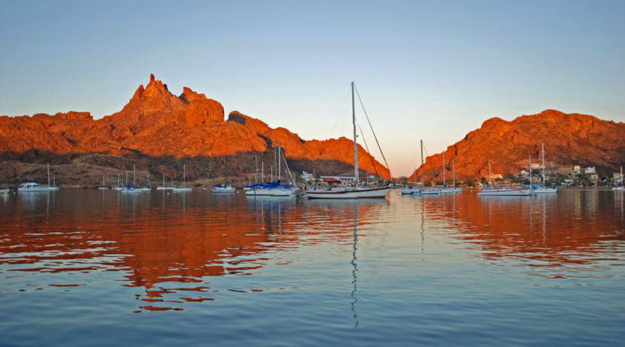 ¿Cuáles son las opciones de vehículos más populares en San Carlos?